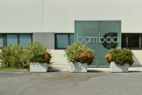 Bamboo Fitness