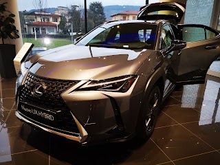 LEXUS FIRENZE - BI AUTO - Sesto Fiorentino