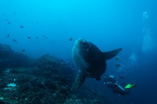 Bolle D'Acqua Viaggi Di Della Casa Sabrina