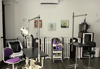 Wonderland Pet Grooming spa | Centro toelettatura per animali domestici