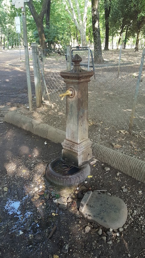 Public Water Fountain