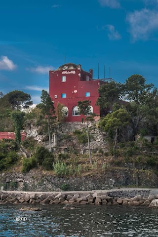 Stazione Zoologica Anton Dohrn - Distaccamento Villa Dohrn