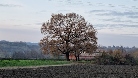 Piscina Sassuolo