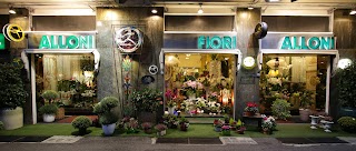 Alloni Fiori