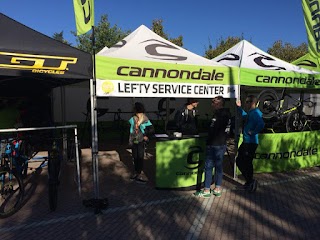 Lefty Service Center