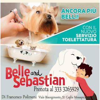 Belle & Sebastien di Polimeni Francesco