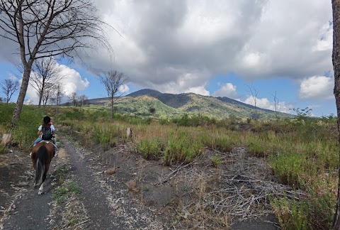 Horses Land Vesuvio