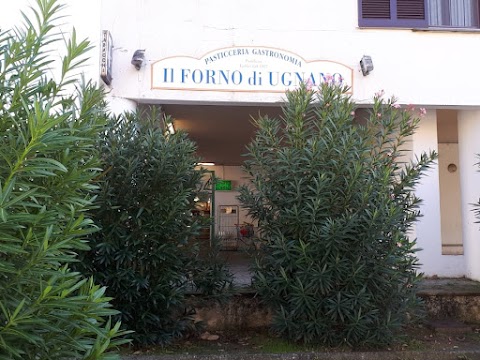 Panificio Taddei - Il Forno di Ugnano