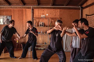 Baguazhang Siracusa