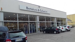 Bertolucci & Coluccini s.r.l. Volkswagen