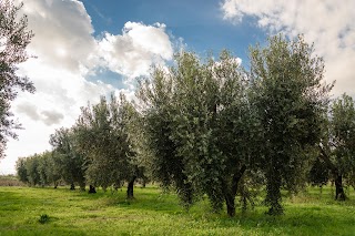 Frantoio Oleario Sportelli