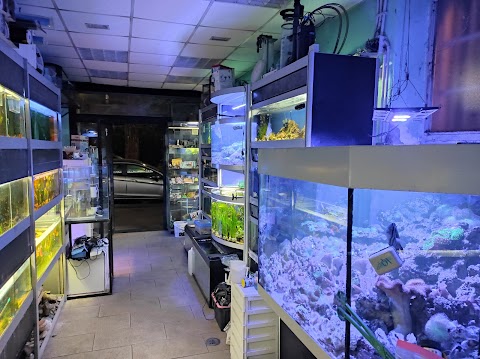 The Tropical Aquarium