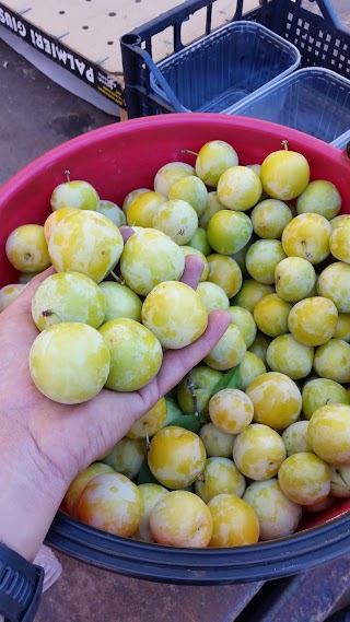 Azienda Agricola Brentegani Luigi