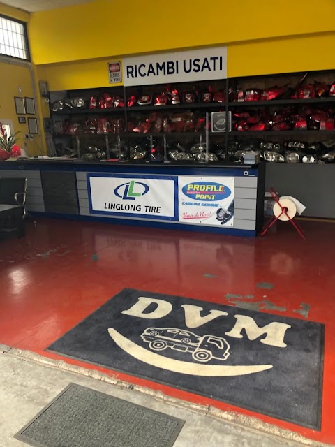 AUTODEMOLIZIONE DVM