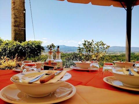 Azienda Agricola L'Aia di Martino