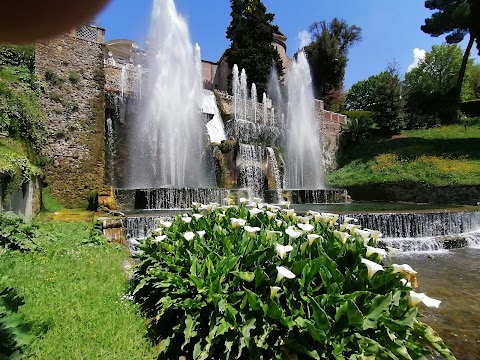 Giardino Via delle Piagge