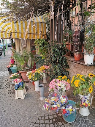 Fantasie di primavera (piante e fiori)