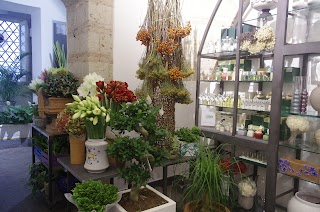 Idea Verde Di Petrelli Michele Flower Design