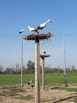 Centro Cicogne "Antico Fosso Bergamasco"