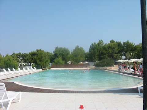 NDS Pools e Wellness dal 1992