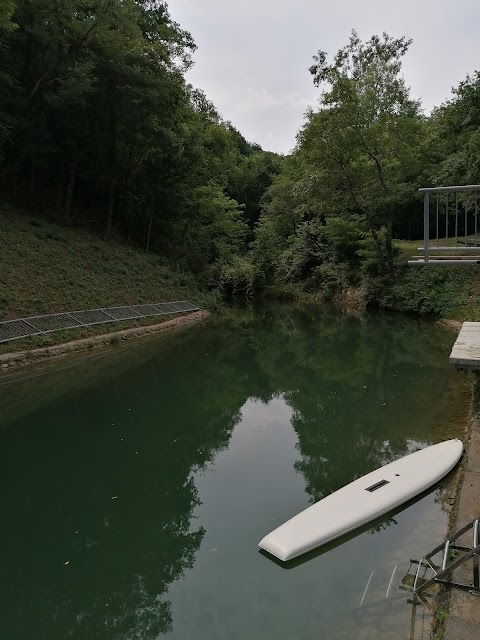 Natural swimming pool