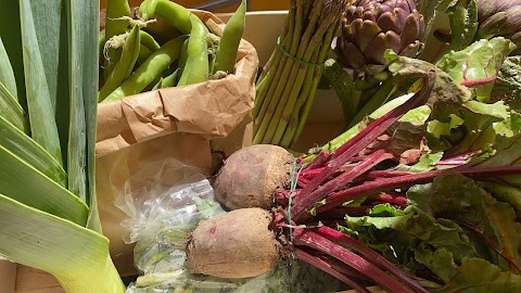 Azienda Agricola Biologica Orto di Fabiana