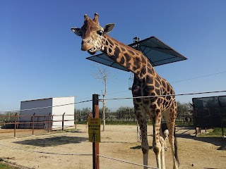 Zoo d'Abruzzo