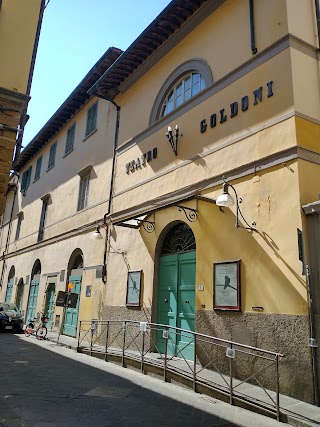 Teatro Goldoni - Il Teatro delle Donne