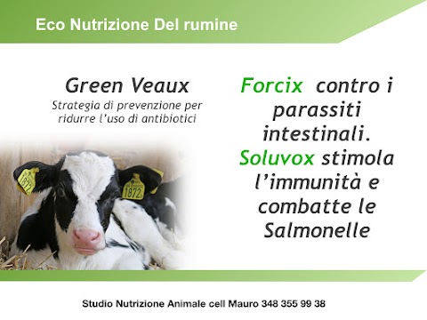 Studio Nutrizione Animale