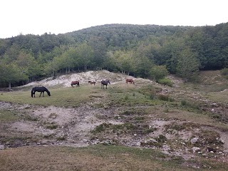 Valle Petrinara