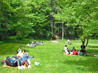 Parco Avventura Selva del Buffardello