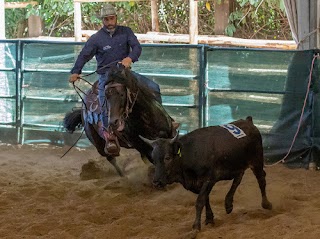 Equitazione Western