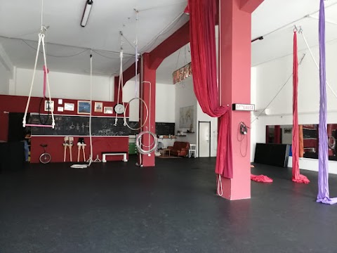 Aria di Circo - Centro Arti Circensi Ancona