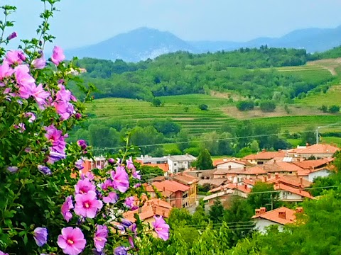 IZLETNIŠKA KMETIJA Z NASTANITVIJO KRALJIČ - sobe, vino in kmečki turizem