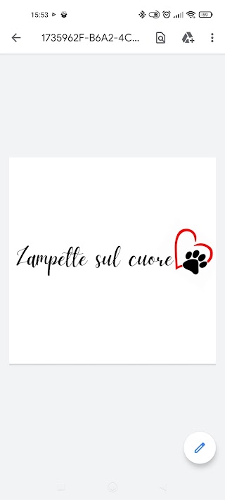 Zampette sul cuore