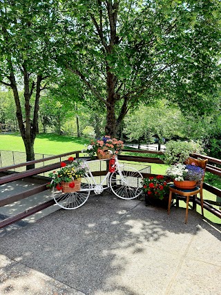 Bar Ristorante Pian Del Poggio Livio