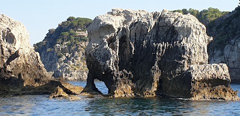 Escursioni in barca Giardini Naxos Poseidon