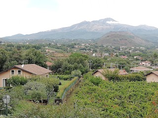 Il Gelso Di Dietroserra