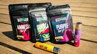 MaryJane Jesolo - Cannabis Shop