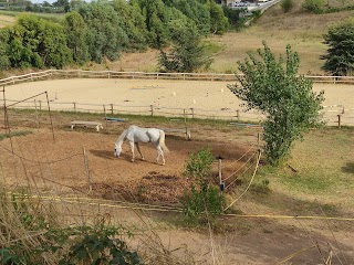 M&M Stable Scuola Equitazione