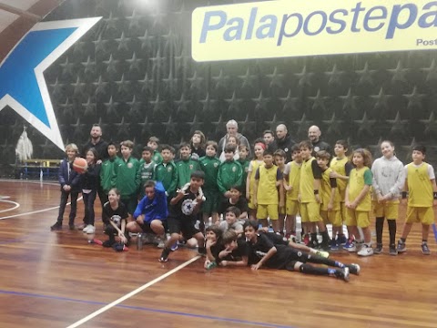 Vis Aurelia Basket Roma