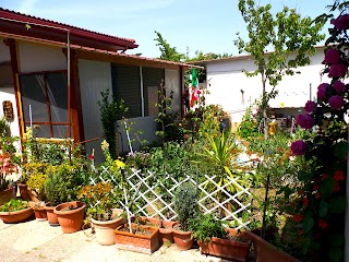 Bed And Breakfast Gherghina