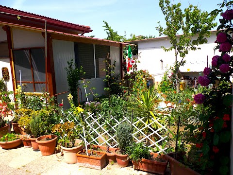 Bed And Breakfast Gherghina