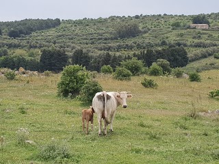 Azienda agrituristica La Seta Giuseppa