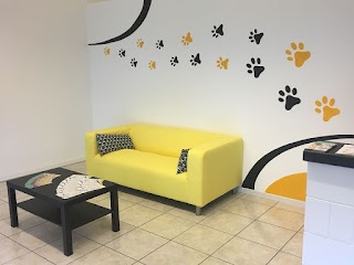 Pet Grooming Salon - Toelettatura