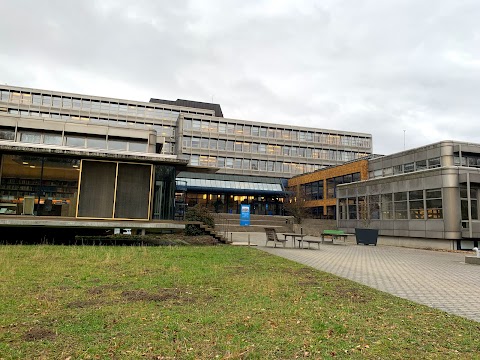 Università di Losanna Amphimax