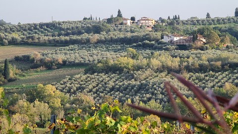 Le Case di Camin Bianco