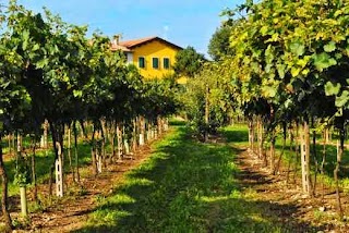 Agriturismo al Coppo