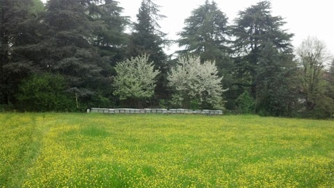 Apicoltura Pelliconi Veliano di Baldazzi Deangela