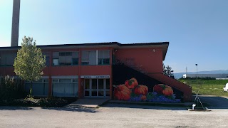 Liceo artistico Statale Policarpo Petrocchi